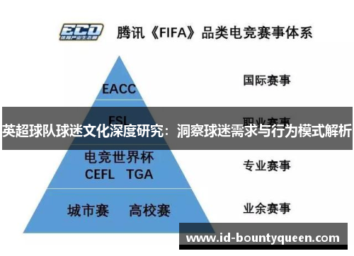 英超球队球迷文化深度研究：洞察球迷需求与行为模式解析